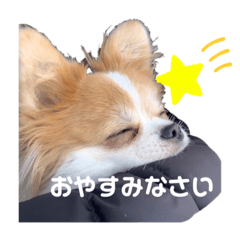 Mayu_20220202211241
