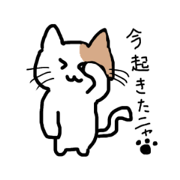 coco_20220203144936