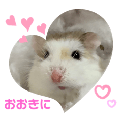 shutaro_20220203145329