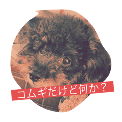 Arisa_20220202152459