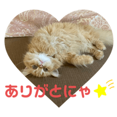 saya_20220203144840
