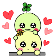 clover&himawari 4