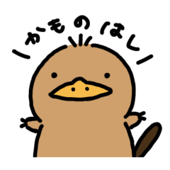 platypus(kamonohashi)