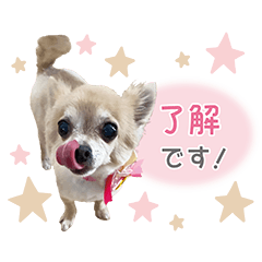 ruru's daily life sticker