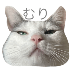 baby.oden.nyannyan