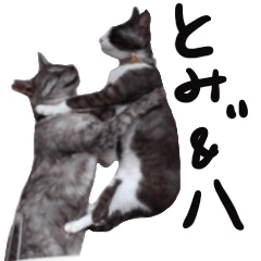 とみぃ＆八  猫写真スタンプ4