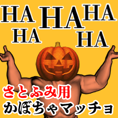 Satofumi Pumpkin macho