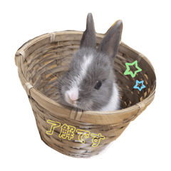 NOZOMI_20220202173248