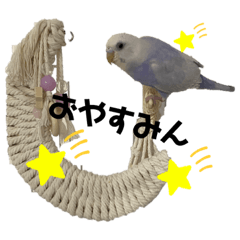 mizuki_20220203172557