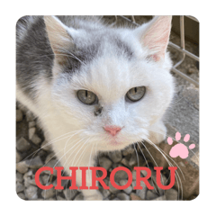 mizuki_20220203183039