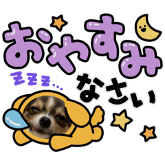 Ai_20220203205223