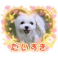 nanami_20220204002817