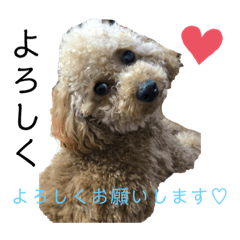 maaaaasa_20220204082115