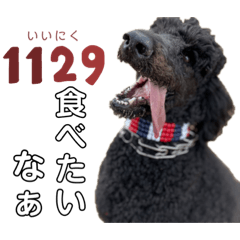 HIMAWARI_20220203154211