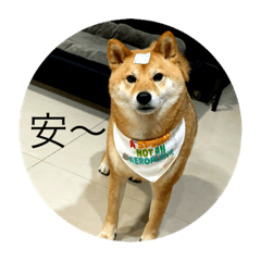 Ooo嚕
