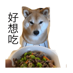 露b