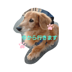rina_20220203170923