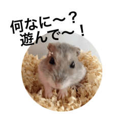 saori_20220204110842