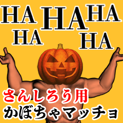 Sango Pumpkin macho