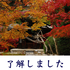 News of Kamakura fall and winter