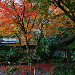 鎌倉秋冬の風景写真