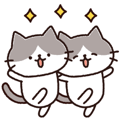 Loose bicolor cat