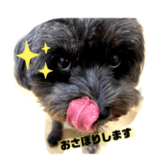 tomomi_20220203221524