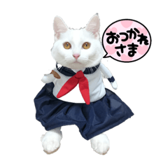 kumachan_20220203235550