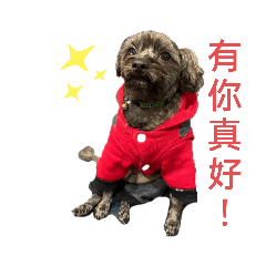 亮亮就是最可愛