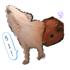 拿鐵咖啡日常❤️