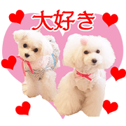 RUNRUN'S CUTE Sticker