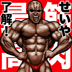 Seiya dedicated Muscle macho sticker 5