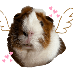 ayumi_20220204152109