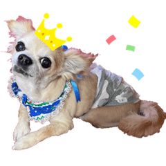 Yukari_20220204121417