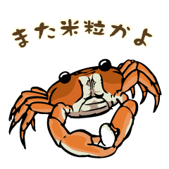 japanese fresh water crab