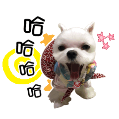 黃吉吉的無聊日子2