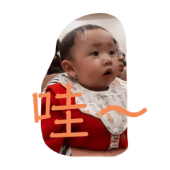 椉椉的日常生活