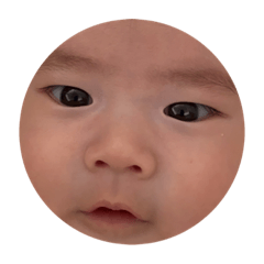 雞腿妹的表情包