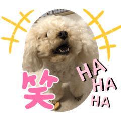 hana_20220204184525