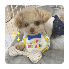 miki_20220204210017