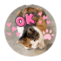 NATSUMI_20220204221053