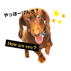 Alice_20220204153443