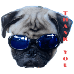 akiko_20220205082249