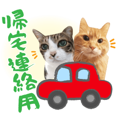 Cute and lovely cat Sticker7