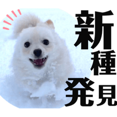 Yuppyooon_20220205015608
