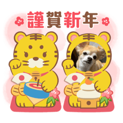 Yukari_20220204170434