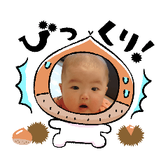 miki_20220205110513