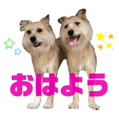 Seira_20220204211748