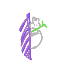 AI_20220204215841