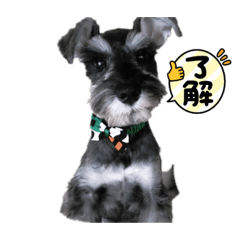 ASAKO_20220204210802